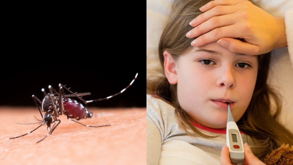 Waspada DBD di Musim Hujan